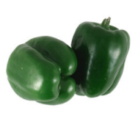 فلفل دلمه سبز و رنگی