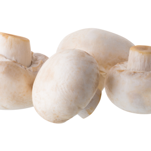 قارچ دکمه‌ای